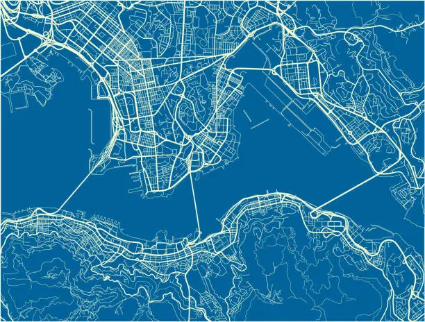 Vector illustration of Blue and White vector city map of Hong Kong with well organized separated layers.