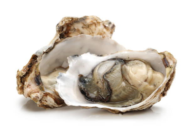 istock Oysters close up isolated on white background 912923922