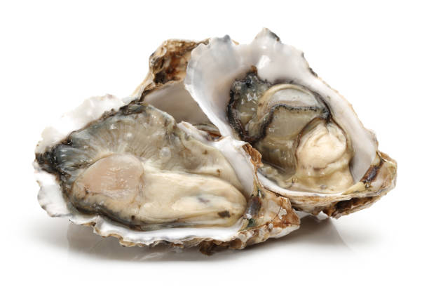 istock Oysters close up isolated on white background 912924054