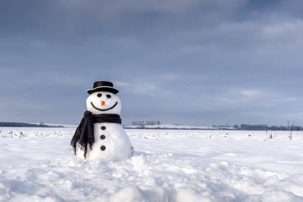 istock Funny snowman in black hat 912933536