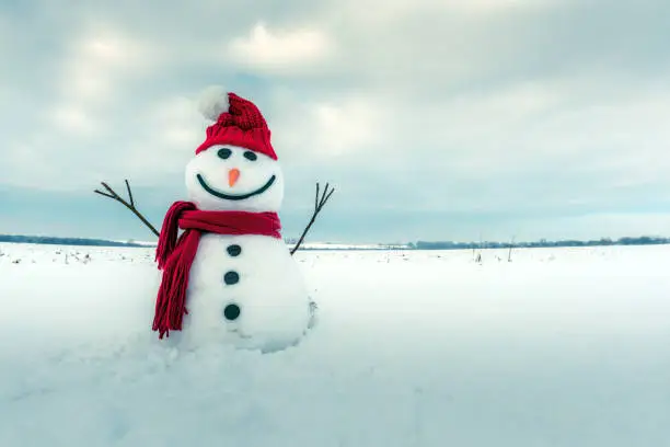 Photo of Funny snowman in red hat