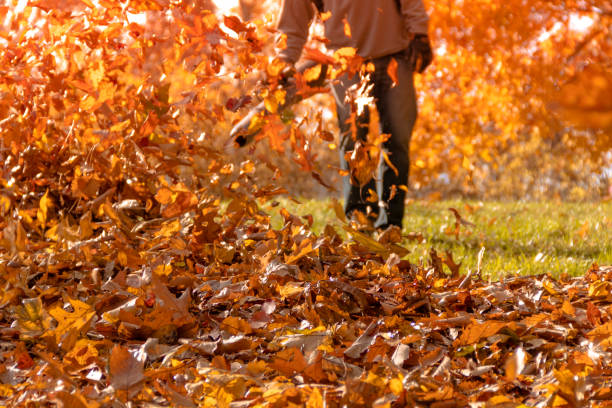 istock Leaf blower action blowing crispy color fall leaves into a pile 912945214