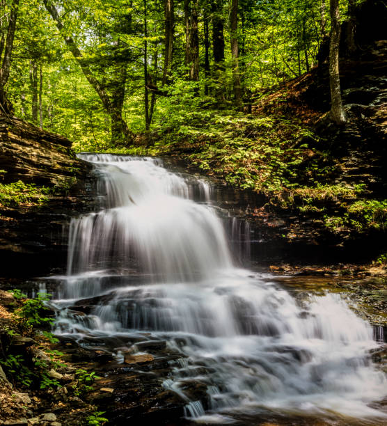 istock Ricketts Glen harbors Glens Natural Area 912948462