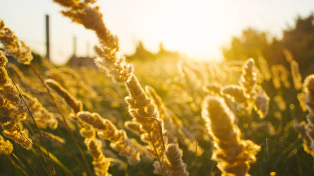 istock Landscape in summer time, nature background. 912948602