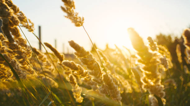 istock Landscape in summer time, nature background. 912948630