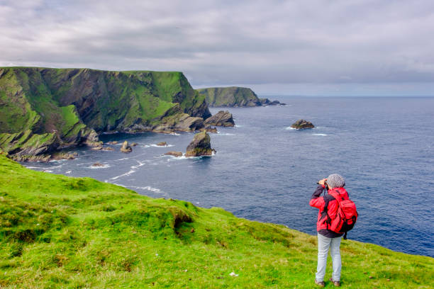 Birdwatching at the Hermaness National Nature Reserve, a dramatic cliff-top setting and a refuge of thousands of seabirds; it is the Britain's most northerly point, located on the island of Unst, Shetland Islands, Scotland.