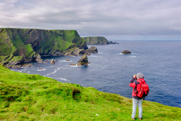 obserwacja ptaków w narodowym rezerwacie przyrody hermaness, dramatycznym klifie i schronieniem tysięcy ptaków morskich; jest to najbardziej na północ od wielkiej brytanii punkt, położony na wyspie unst, szetlandy, szkocja. - shetland islands zdjęcia i obrazy z banku zdjęć