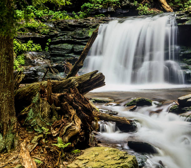 istock Ricketts Glen harbors Glens Natural Area 912951696