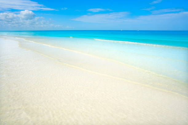 istock Caribbean turquoise perfect beach Riviera Maya 912954148