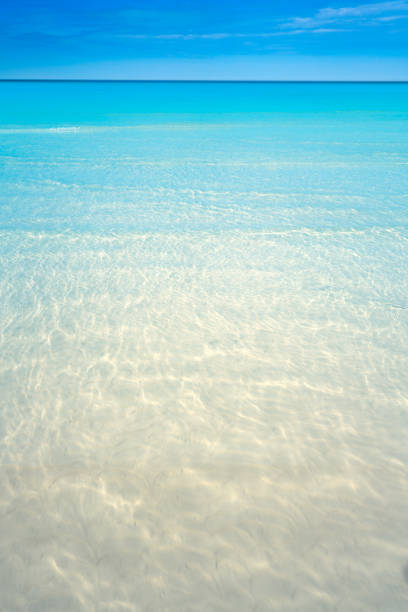 istock Holbox Island beach in Quintana Roo Mexico 912955416