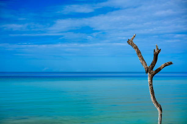 Holbox tropical Island in Quintana Roo of Mexico
