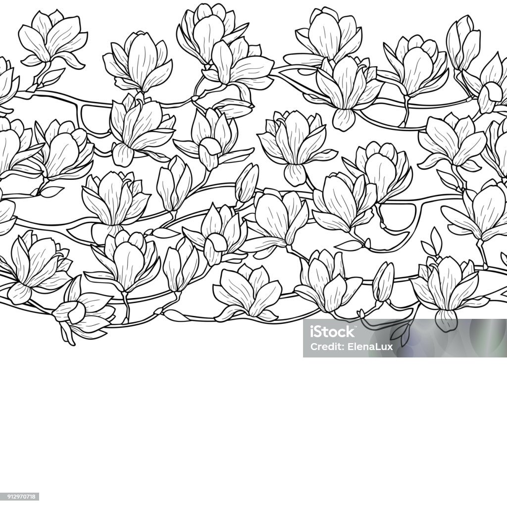 Magnolia Spring Seamless Border Magnolia outline spring seamless horizon border. Floral wallpaper for romantic backgrounds, textile, prints, patterns, covers, coloring pages with text place. Border - Frame stock vector