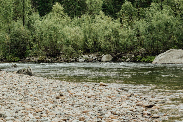 istock Fast mountain river with stones and trees on the shore 912977030