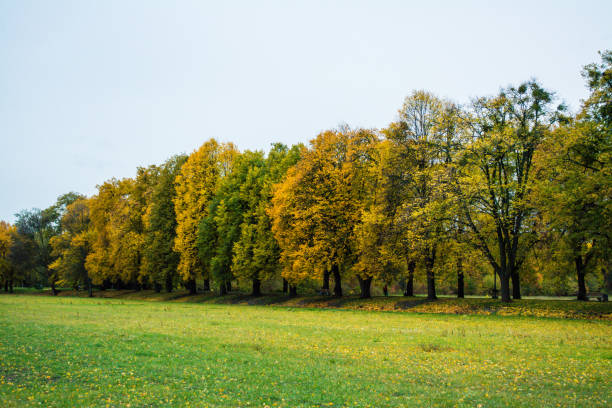 istock Beautiful Autumnal park 912979802