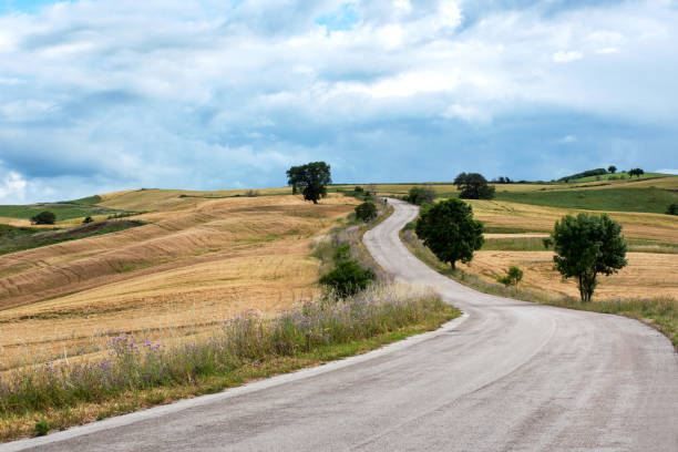 istock Road Amidst Field Against Sky 912980688