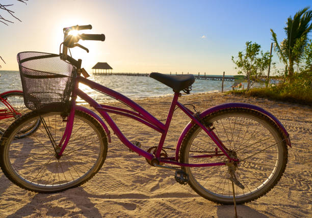 istock Holbox island beach bicycle in Mexico 912985814