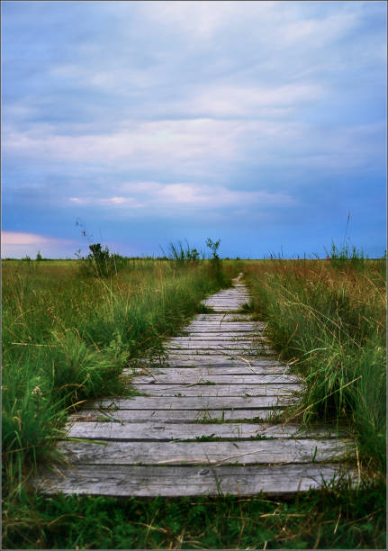 istock Rural landscape in summer time, nature background. 912989768