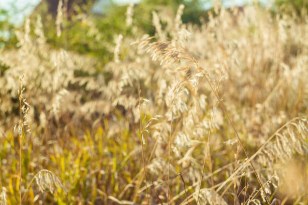 istock Landscape in summer time, nature background. 912990138