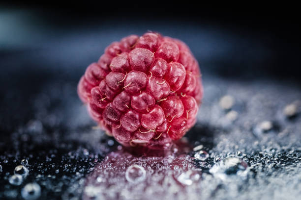 Raspberry macro with water droplets bokeh on dark background