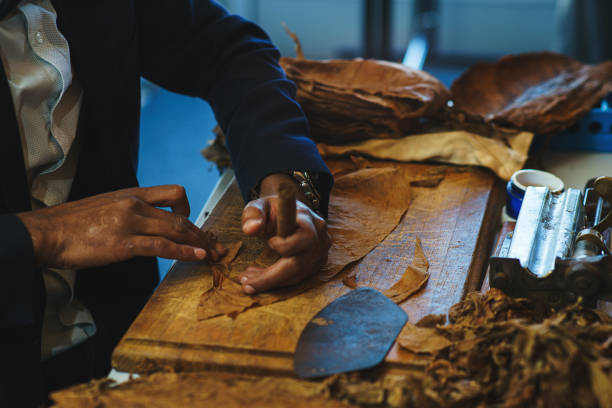 istock Process of making traditional cigars from tobacco leaves with own hands using a mechanical device and press. 912996280