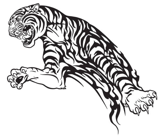 Tiger In The Jump Tribal Tattoo Stock Illustration - Download Image Now -  Tiger, Jumping, Rebellion - iStock