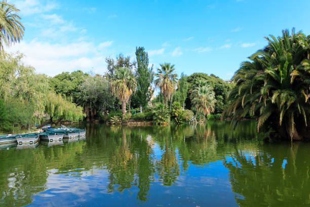istock Rowboats in Ciutadella Park 912998018