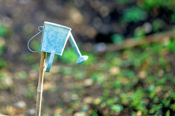 mini watering can in a garden