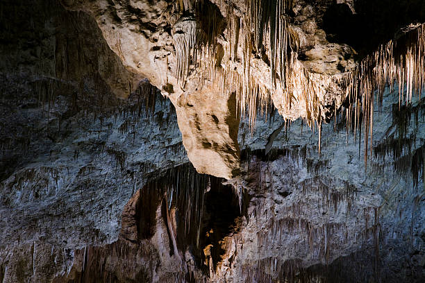 Parque nacional de Carlsbad Caverns - fotografia de stock