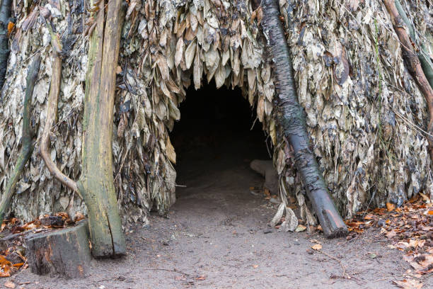 istock Traditional rural African hut 913016694