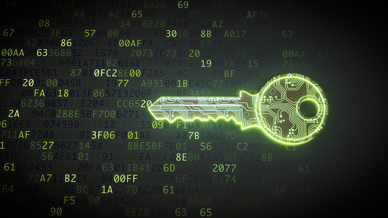 Front view on a green key made to resemble a circuit board and placed in front of binary computer code.

