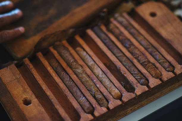 istock Process of making traditional cigars from tobacco leaves with own hands using a mechanical device and press. 913017622