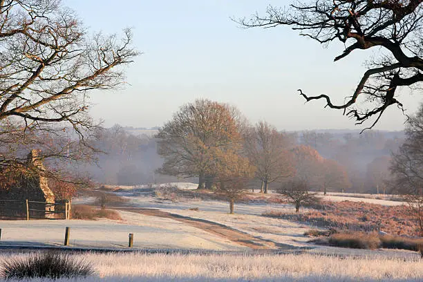 Heavy overnight frost turns this park into a winter wonderland in Sevenoaks, South East England