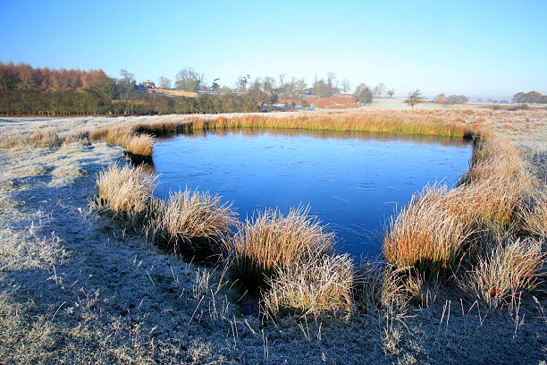 istock Knole Park in Sevenoaks, England 91302058