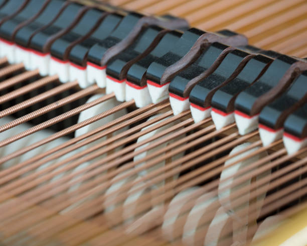 istock snares mutes and hammers inside a grand piano 913023826