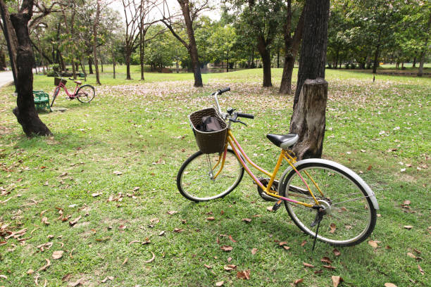 istock Two bicycles and trees in park, nature background , vacation time 913042914