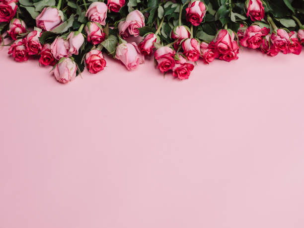istock Roses background of pink roses ready borders for valentine 913055646