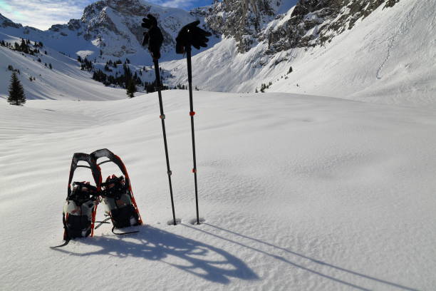 istock Snowshoes and poles 913056096