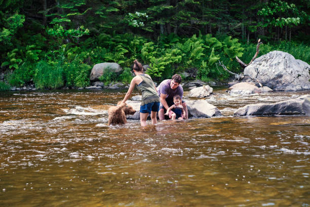 istock Millennial family bathing in a river in summer nature. 913056138