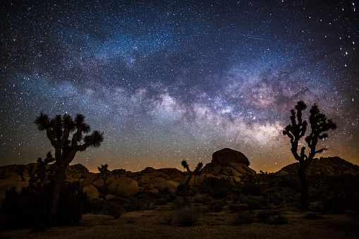 Joshua trees  at sunset with colorful clouds and sky and mountains