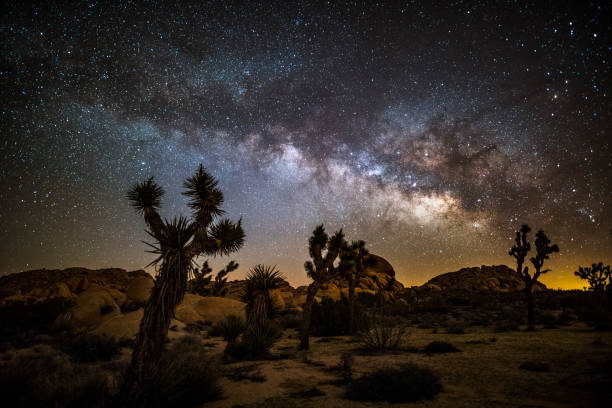 istock Milky way and stars over Joshua Tree desert 913059422