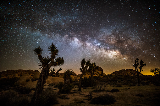 Impression of the Night Sky over Joshua tree national park on a winter evening.