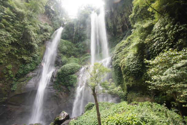 istock Beautiful tropical waterfall. Bali,Indonesia 913059616