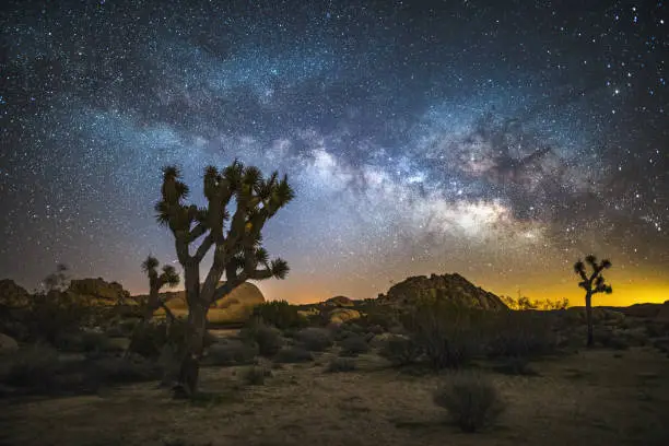 Stars and the Milky way over the beautiful desert landscape of Joshua Tree national Park in California, USA.