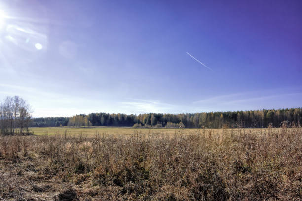 istock Autumn landscape sloping meadow on a background of forest and mountains 913062184