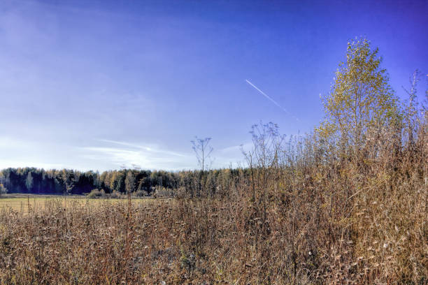 istock Autumn landscape sloping meadow on a background of forest and mountains 913062196