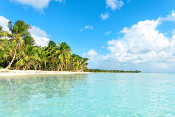 istock Vacation in Dominican Republic 913065942