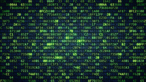 green computer code wallpaper simple - group b imagens e fotografias de stock