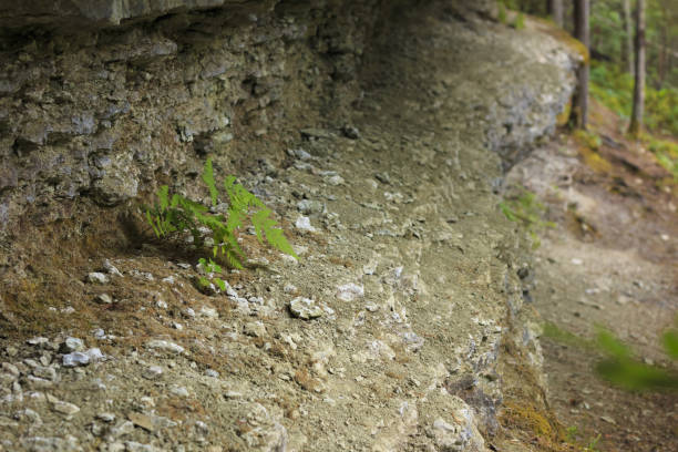 istock Cliff on the island at Hiiumaa. 913075588