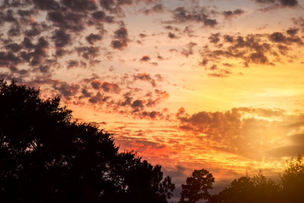 istock Sunset sky with clouds in vibrant hues. 913076248