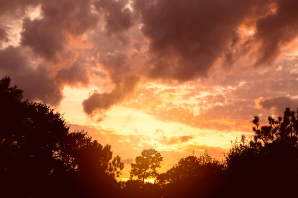 istock Sunset sky with clouds in vibrant hues. 913078484